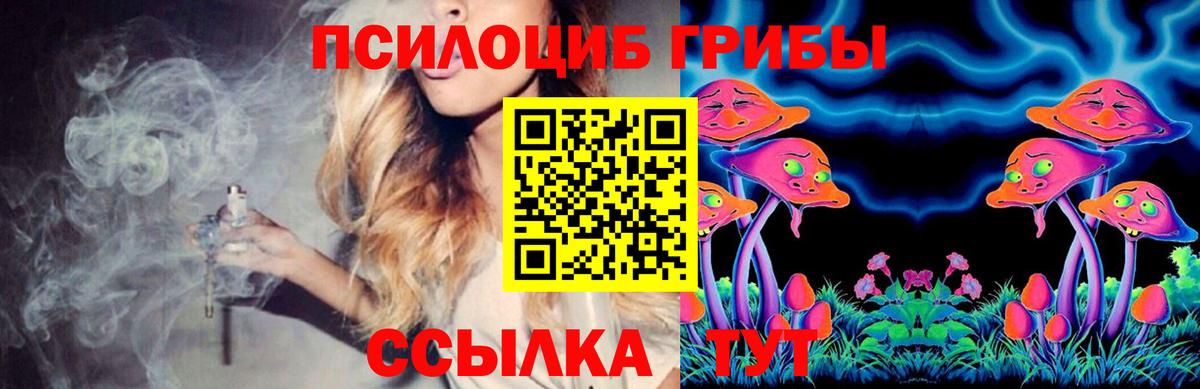 Галлюциногенные грибы MAGIC MUSHROOMS Новоалтайск